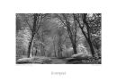 LA4 Sefton Park Spring