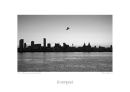 LA4 The Sleeping City Awakes