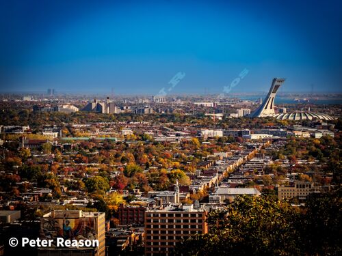 Montreal Olympic