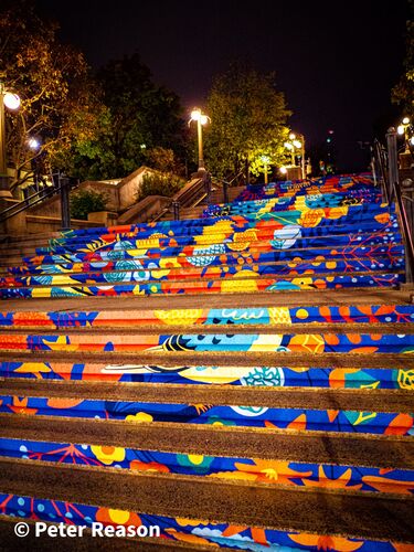 Coloured Steps