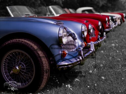 Austin Healy’s