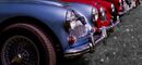 Austin Healy’s