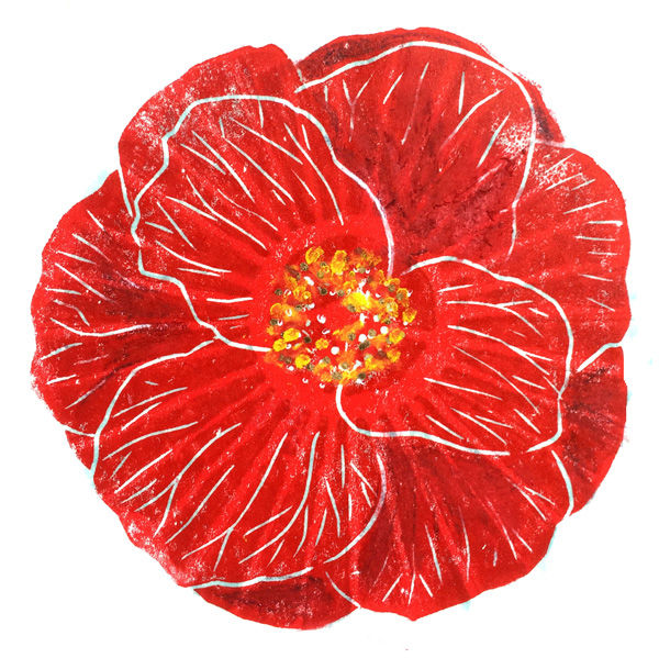Camellia