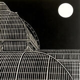 Moonlit Palm House