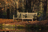 The Bench