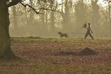 Backlit Walker