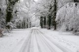 Summer Lane in Winter
