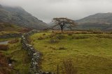 The road to Kirkstone Pass