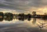 Early morning at Mill Dam