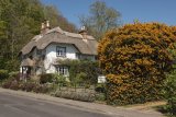Beehive Cottage