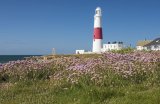 Portland Bill Lighthouse