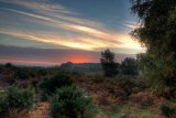 First Light