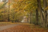 Virginia Water Park in Autumn