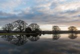 Mogshade Pond