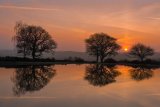 Mogshade Pond