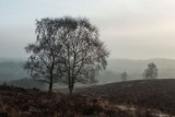 Mogshade Hill