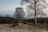 Mogshade Hill