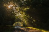 Light at the end of the Tunnel