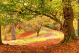 Early Autumn
