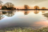 Mogshade Pond in Winter