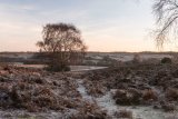 A Frosty Mogshade Hill