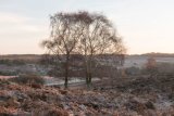 Mogshade Hill in Winter