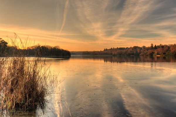 Virginia Water Lake: Bob Barnes Photography