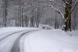 The road to Smiths Lawn