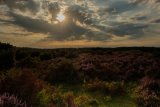 Mogshade Hill Evening Light