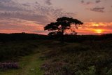Last Light at Bratley View