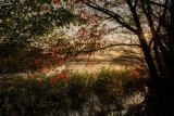 Virginia Water Lake