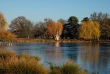 Bushy Park Hampton London UK