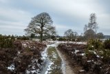 Mogshade Hill in Winter