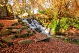 Virginia Water Falls