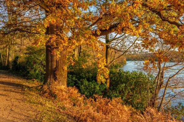 Virginia Water Lake