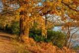 Virginia Water Lake