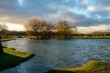 Janesmoor Pond early Winter