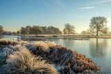 Heron Pond Bushy Park Hampton London