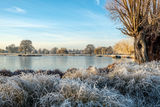 Heron Pond Bushy Park Hampton London