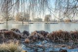 Heron Pond Bushy Park Hampton London