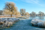 Leg of Mutton Pond Bushy Park