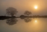 Mogshade Pond at Dawn