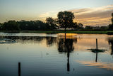 Dawn at Heron Pond