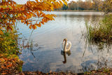 Virginia Water Lake