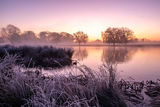 Frosty Heron Pond