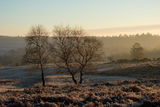 Mogshade Hill
