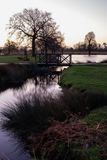 Bushy Park at Dawn