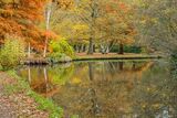 The Woodland Gardens Bushy Park Hampton