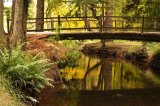 Bridge over River Blackwater