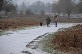 Walking in the Snow